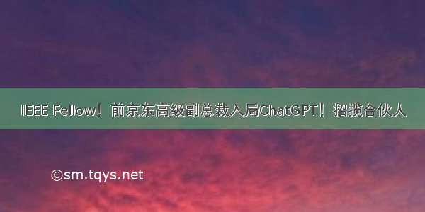 IEEE Fellow！前京东高级副总裁入局ChatGPT！招揽合伙人