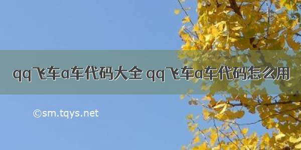 qq飞车a车代码大全 qq飞车a车代码怎么用