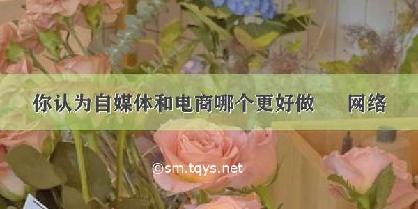 你认为自媒体和电商哪个更好做 – 网络