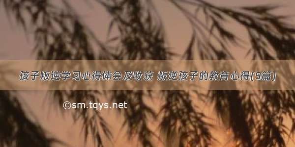 孩子叛逆学习心得体会及收获 叛逆孩子的教育心得(9篇)