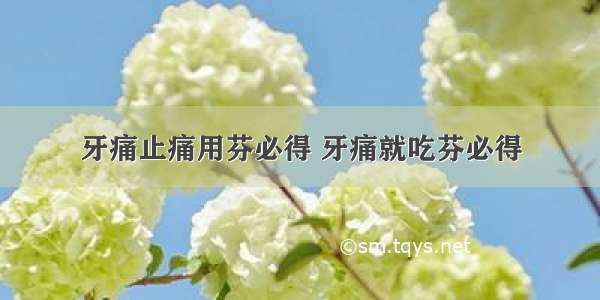 牙痛止痛用芬必得 牙痛就吃芬必得