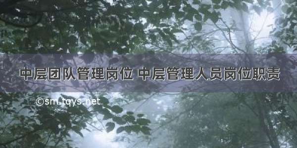 中层团队管理岗位 中层管理人员岗位职责