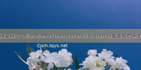 可采储量标定 calibration of the recoverable reserves英语短句 例句大全
