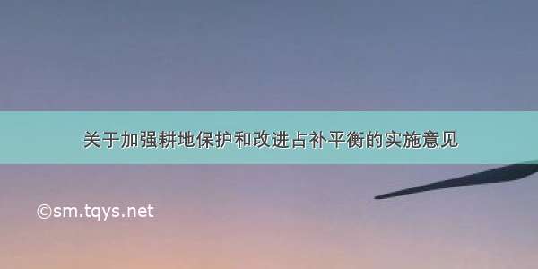 关于加强耕地保护和改进占补平衡的实施意见