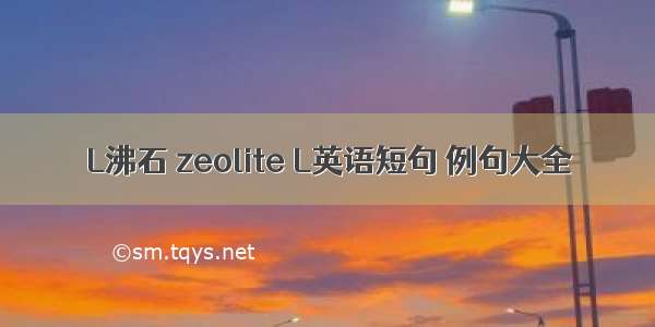 L沸石 zeolite L英语短句 例句大全