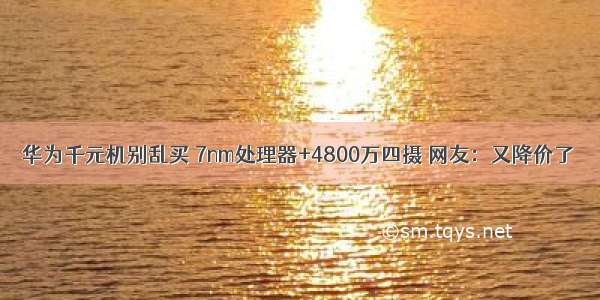 华为千元机别乱买 7nm处理器+4800万四摄 网友：又降价了