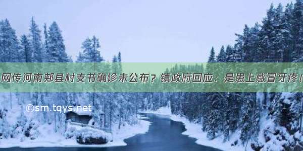 网传河南郏县村支书确诊未公布？镇政府回应：是患上感冒牙疼！