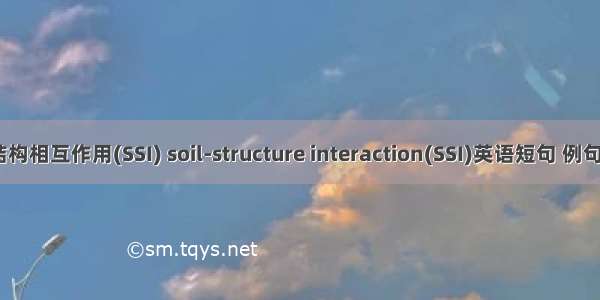 土-结构相互作用(SSI) soil-structure interaction(SSI)英语短句 例句大全