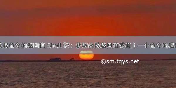 linux获取命令的返回值 Shell $?：获取函数返回值或者上一个命令的退出状态