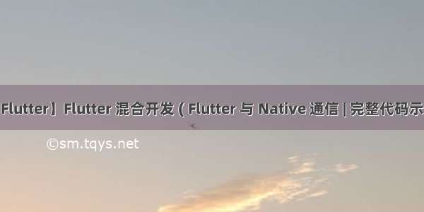 【Flutter】Flutter 混合开发 ( Flutter 与 Native 通信 | 完整代码示例 )