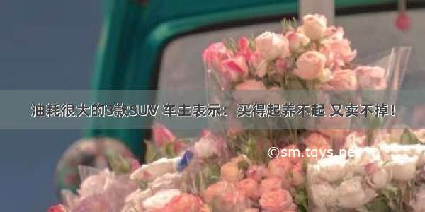 油耗很大的3款SUV 车主表示：买得起养不起 又卖不掉！