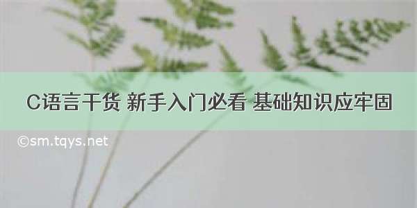 C语言干货 新手入门必看 基础知识应牢固