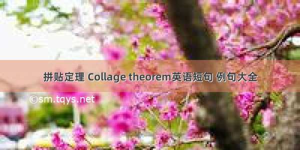 拼贴定理 Collage theorem英语短句 例句大全