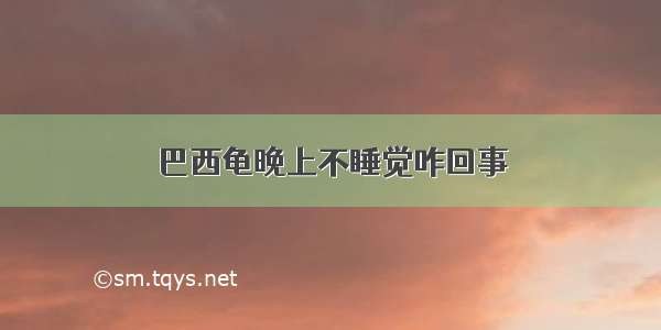 巴西龟晚上不睡觉咋回事