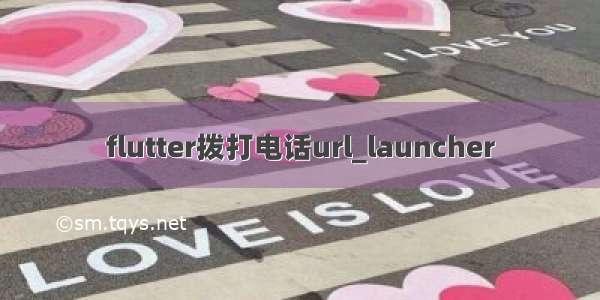 flutter拨打电话url_launcher