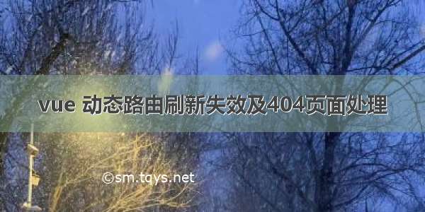 vue 动态路由刷新失效及404页面处理