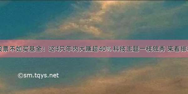 买股票不如买基金！这4只年内大赚超40% 科技主题一枝独秀 来看排行榜