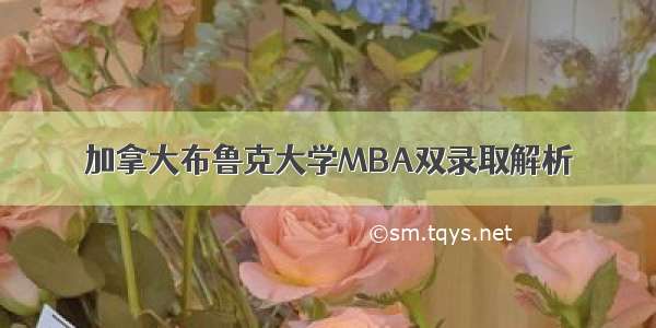 加拿大布鲁克大学MBA双录取解析