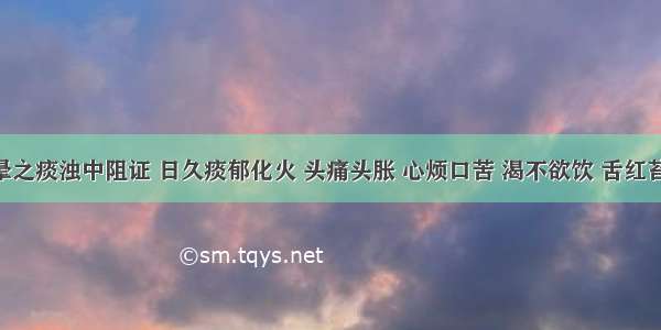 患者眩晕之痰浊中阻证 日久痰郁化火 头痛头胀 心烦口苦 渴不欲饮 舌红苔黄腻 脉