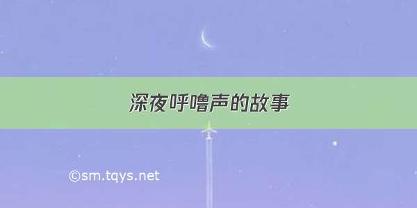 深夜呼噜声的故事