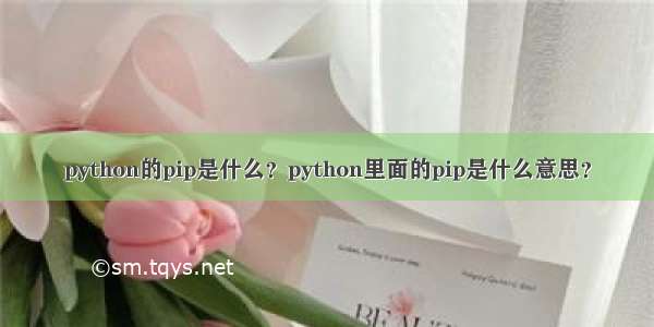 python的pip是什么？python里面的pip是什么意思？