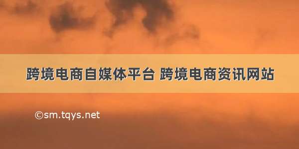 跨境电商自媒体平台 跨境电商资讯网站