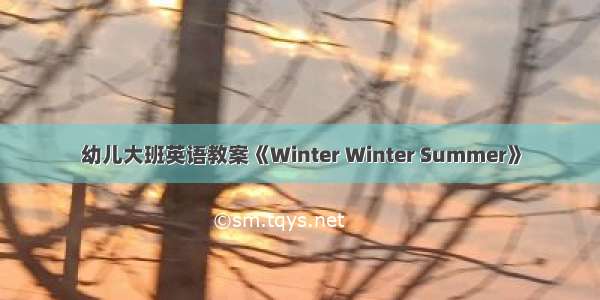 幼儿大班英语教案《Winter Winter Summer》