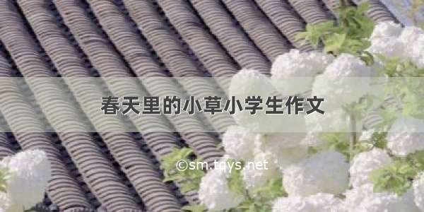 春天里的小草小学生作文