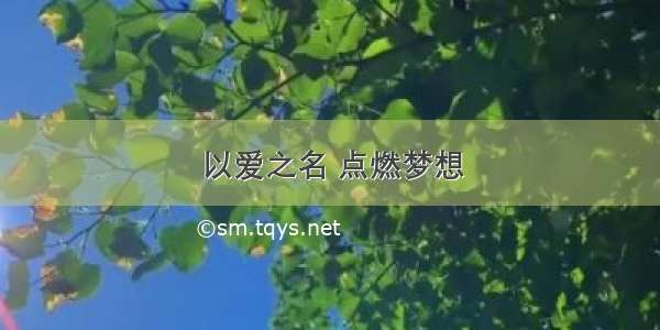 以爱之名 点燃梦想