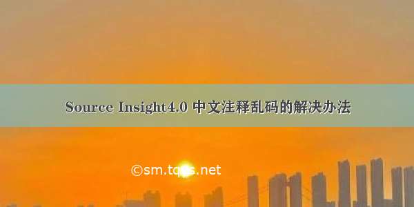 Source Insight4.0 中文注释乱码的解决办法