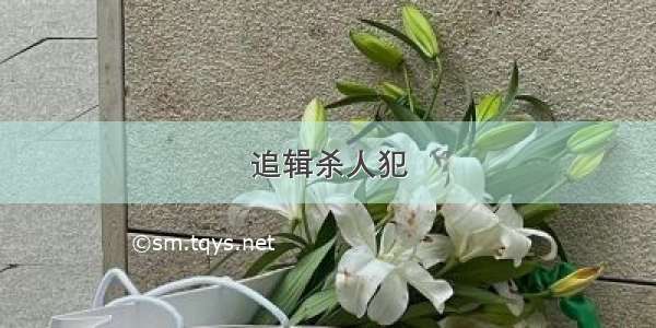 追辑杀人犯