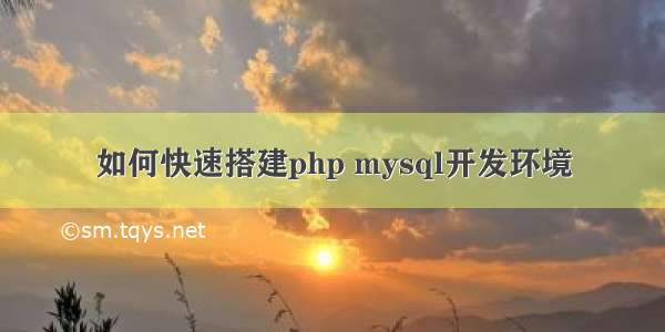 如何快速搭建php mysql开发环境