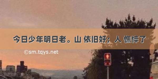 今日少年明日老。山 依旧好；人 憔悴了