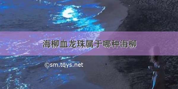 海柳血龙珠属于哪种海柳