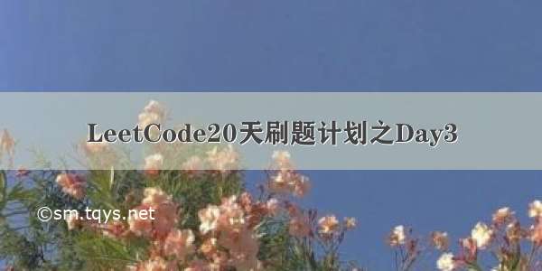 LeetCode20天刷题计划之Day3