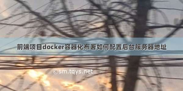 前端项目docker容器化布署如何配置后台服务器地址