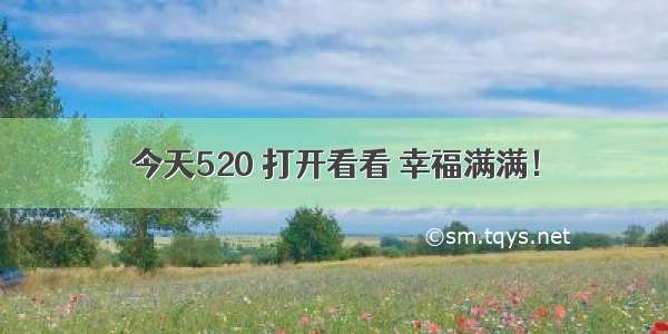 今天520 打开看看 幸福满满！