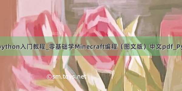 我的世界python入门教程_零基础学Minecraft编程（图文版）中文pdf_Python教程