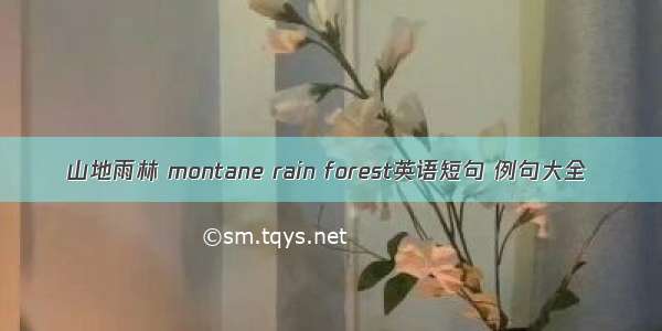 山地雨林 montane rain forest英语短句 例句大全