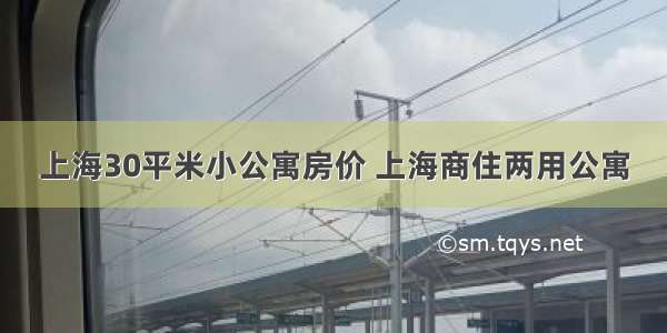 上海30平米小公寓房价 上海商住两用公寓