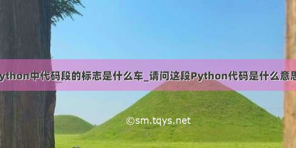 python中代码段的标志是什么车_请问这段Python代码是什么意思？