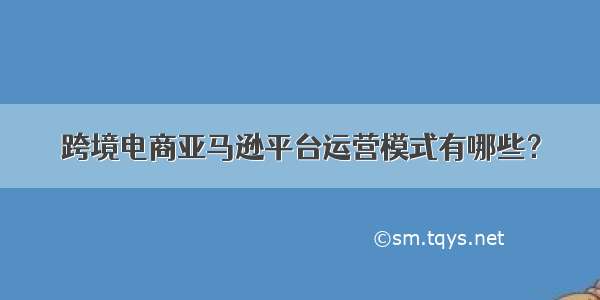 跨境电商亚马逊平台运营模式有哪些？