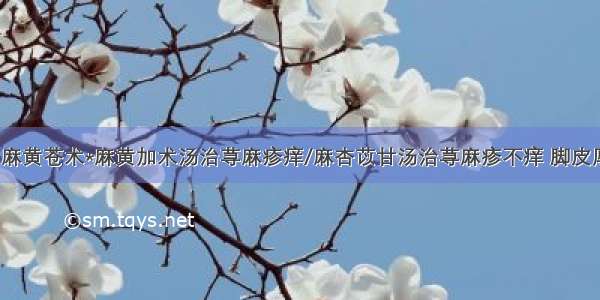 治湿证恒用麻黄苍术*麻黄加术汤治荨麻疹痒/麻杏苡甘汤治荨麻疹不痒 脚皮厚 疣 头皮屑