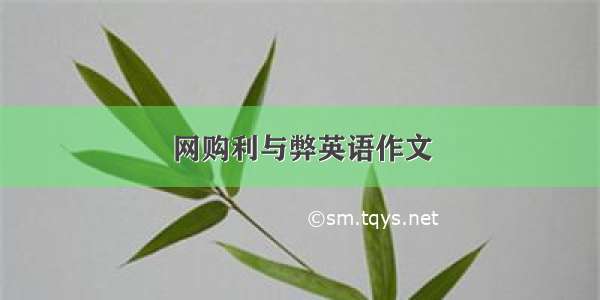 网购利与弊英语作文