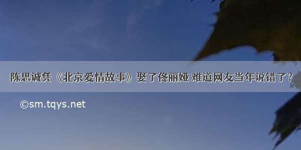 陈思诚凭《北京爱情故事》娶了佟丽娅 难道网友当年说错了？