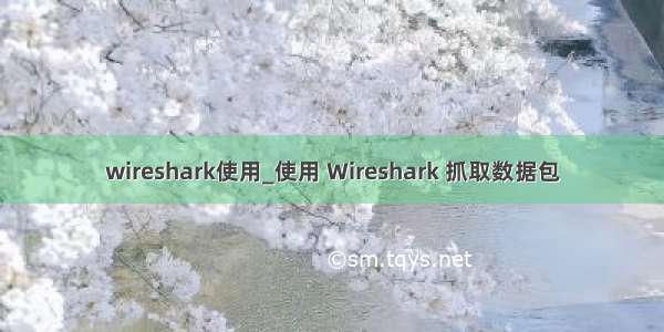 wireshark使用_使用 Wireshark 抓取数据包