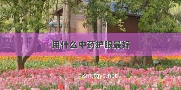 用什么中药护眼最好