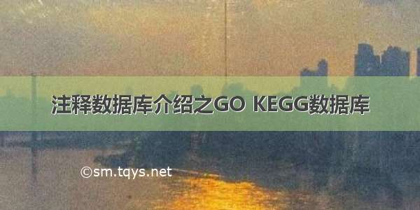 注释数据库介绍之GO KEGG数据库