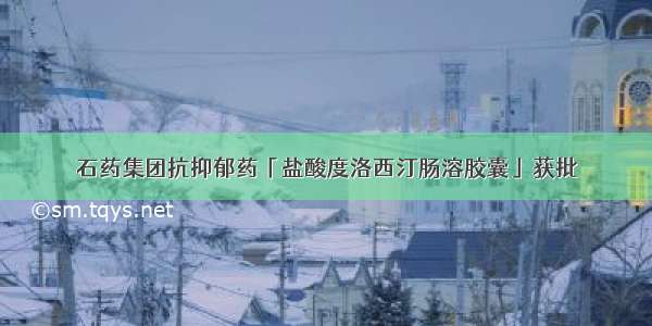 石药集团抗抑郁药「盐酸度洛西汀肠溶胶囊」获批