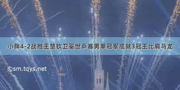 小胖4-2战胜王楚钦卫冕世乒赛男单冠军成就3冠王比肩马龙